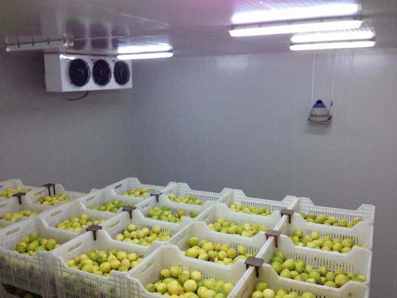 Fresh-keeping Refrigerated Cold Storage